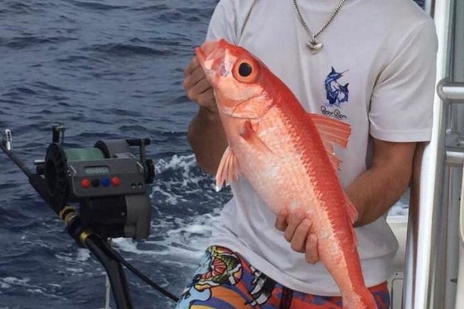 Private Half-Day Naussau Fishing Tour  - New Providence Island - Good To Know