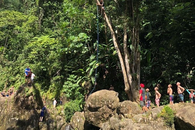 Private Half-Day Puerto Rico Island of Enchantment Beach and Jungle Adventure - Good To Know