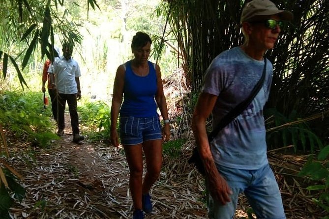 Private Half-Day Rural Experiences Tour, Wayanad  – Kerala