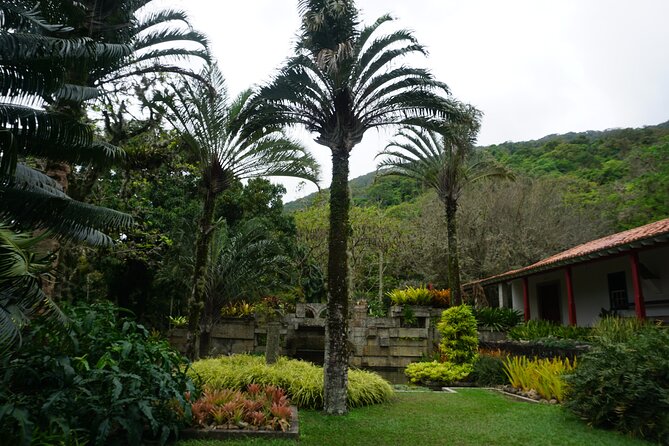 Private Half-Day Tour in Sítio Roberto Burle Marx - Good To Know