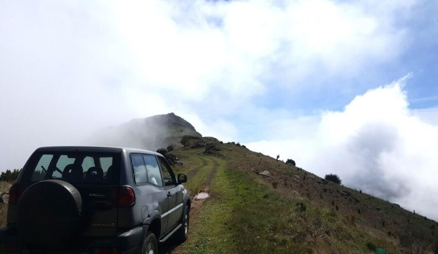 Private Half-Day Tour of Funchal Sky to Sea - Good To Know