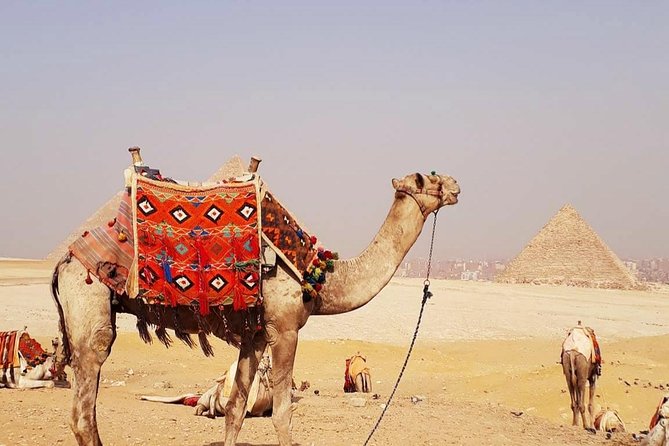 Private Half-Day Tours to Giza Pyramids and Sphinx With Camel Ride - Good To Know
