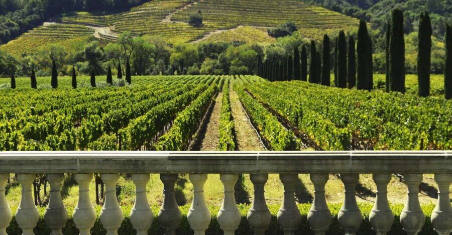 Private Half Day Txakoli Wine Tour & Getaria Fishing Village