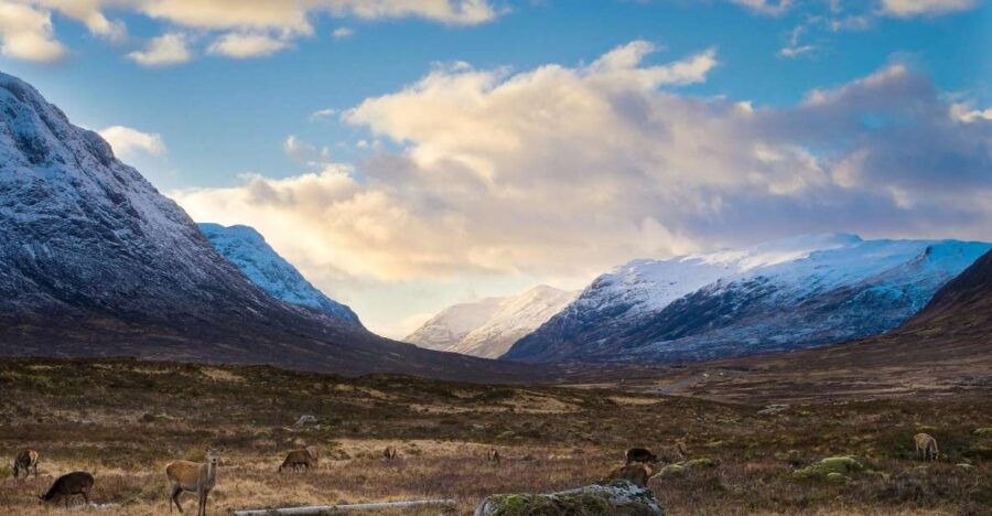 Private Harry Potter Day Tour For Small Groups - Tour Details and Features