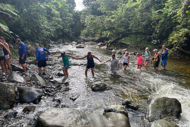Private Hike in the Rainforest to Waterslides - Good To Know