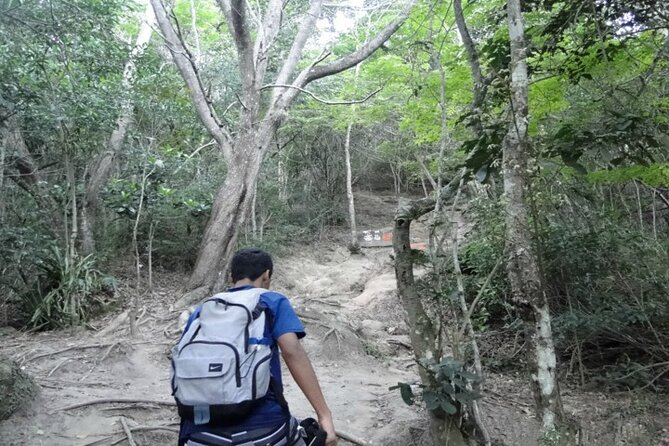 Private Hike Tour: Telegraph Stone and Beaches - Good To Know