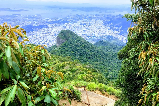 Private Hiking Tour to Tijuca Peak - Tijuca National Park - by OIR Aventura - Good To Know