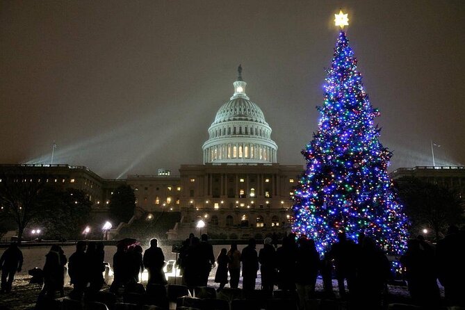 Private Holiday Night Tour of Washington DC - up to 12 Guests - Good To Know
