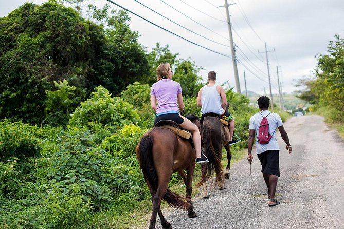 Private Horseback Riding From Ocho Rios With Guide - Pricing and Booking