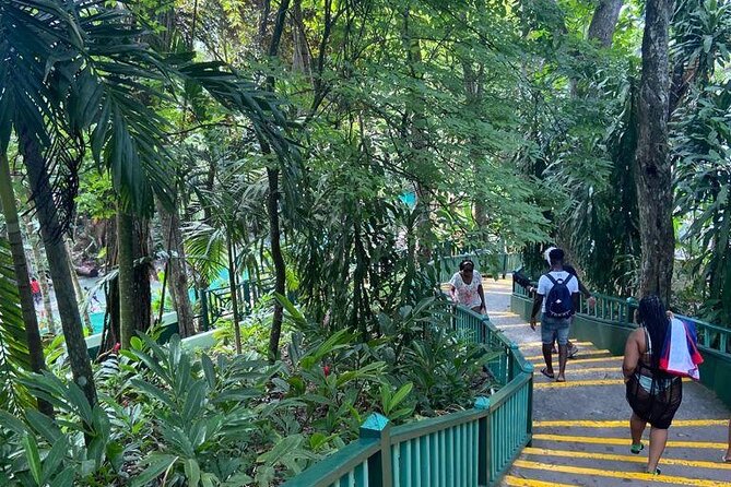 Private Horseback Riding, Swimming and Dunns River Falls Tour - Good To Know