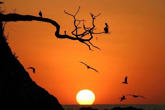 Private Horseback Riding Tour to Watch the Sunset in Nosara