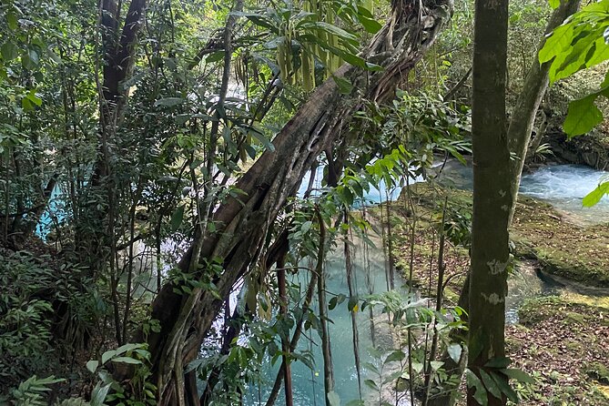 Private Horseback Riding With Blue Hole River Tour in Montego Bay - Good To Know