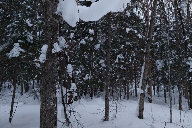 Private Horseshoe Valley Snowshoe/Crampons (Barrie/Moonstone) - Good To Know