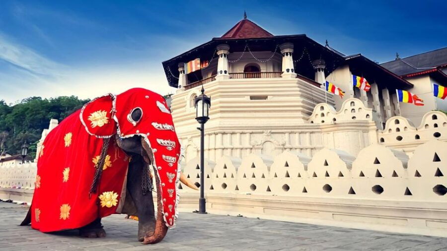 Private Kandy Day Tour From Colombo Sri Lanka