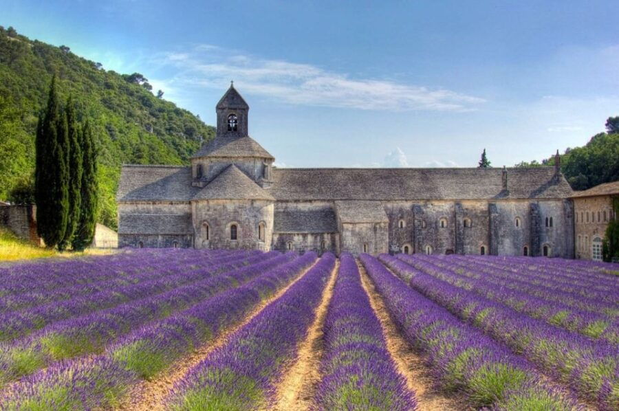 Private Lavender of Provence Tour - Good To Know