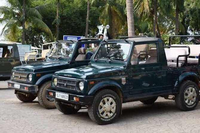 Private Lion Safari in the Gir National Park in Gujarat