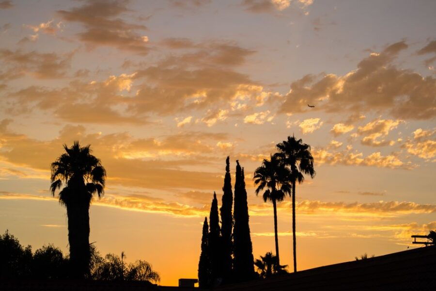 Private Los Angeles Tour by Night - Good To Know