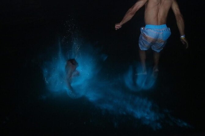 Private Luminous Lagoon Tour From Montego Bay - Good To Know