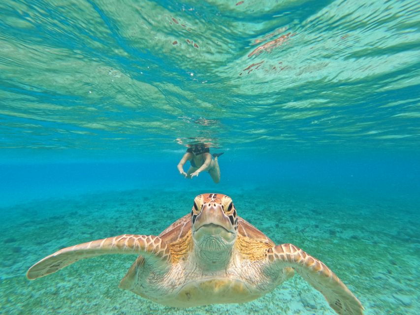 Private Meno Trip 2 Hours With Gopro Camera Included