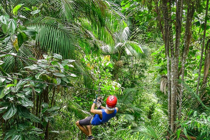 Private Mindo Zipline, Chocolate, Intiñan Equator Museum Tour  - Quito - Tour Details