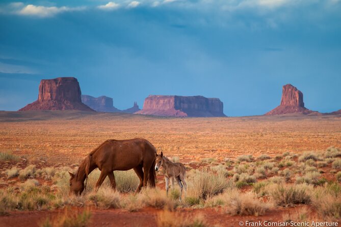 Private Monument Valley Tour - Good To Know