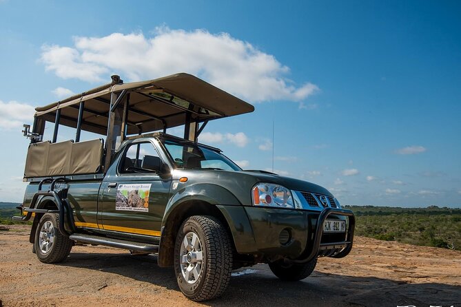 Private Morning Game Drive From Hazyview L Kruger National Park