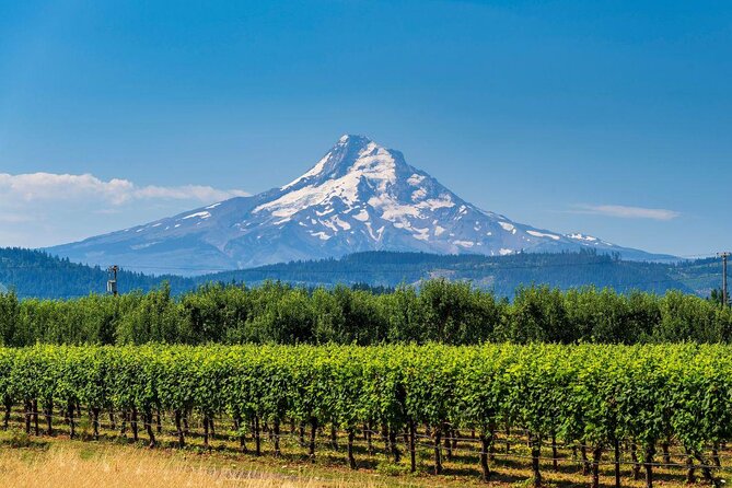 Private Mt Hood Waterfall Tour With Lunch and Wine Tasting - Good To Know