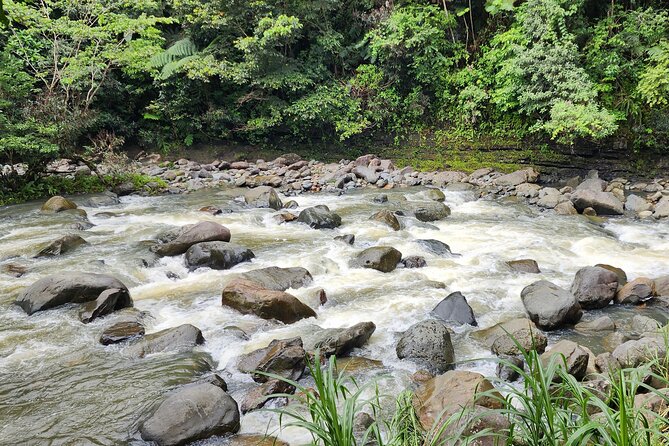 Private National Rainforest Creeks Ponds and Natural Slides Tour