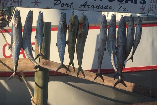 Private Offshore Fishing Charter From Port Aransas