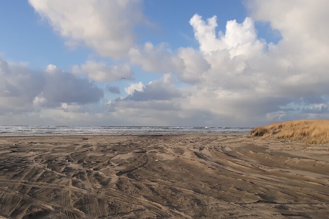 Private Pacific Ocean Beach Experience