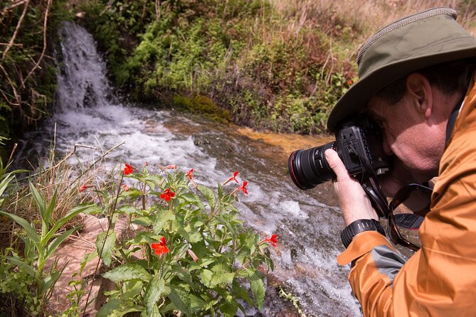 Private Photo Workshop and Sightseeing in Wasatch Mountains