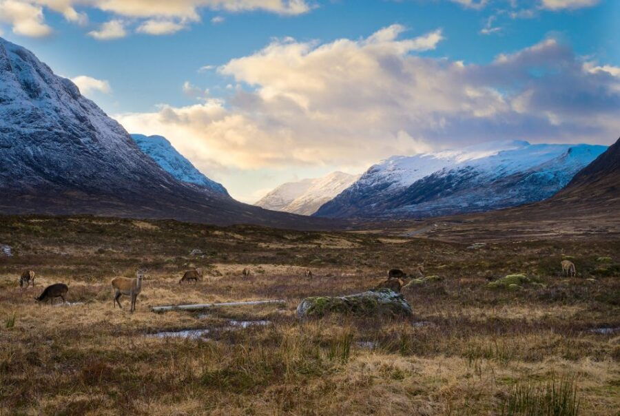 Private Photography Tour in Edinburgh - Good To Know