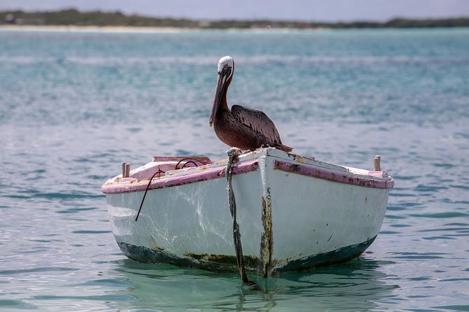 Private Photography Tour - Tour Details