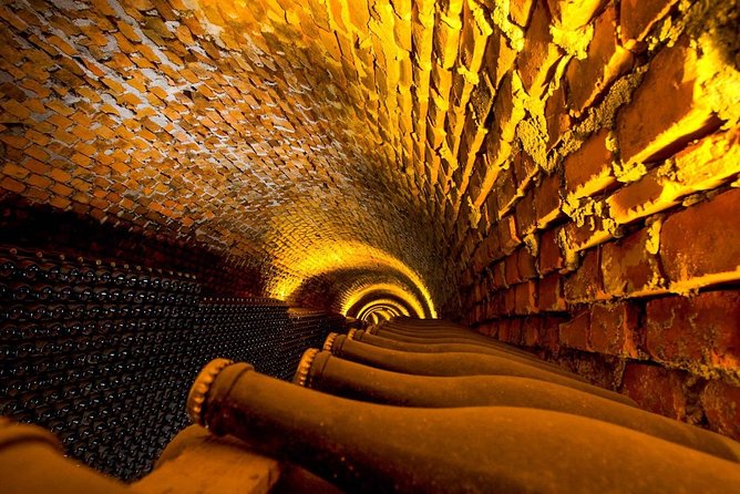 Private Premium Bairrada Tour: 3 Wineries, Wine Tastings & Lunch - Good To Know