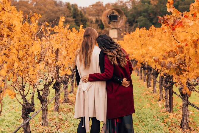 Private Professional Holiday Photoshoot in Sonoma