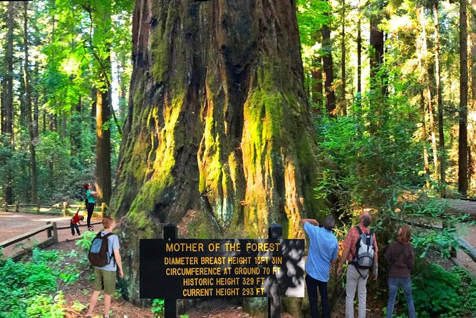 Private Redwoods Tour & Beach Horseback Riding Experience From San Francisco - Good To Know