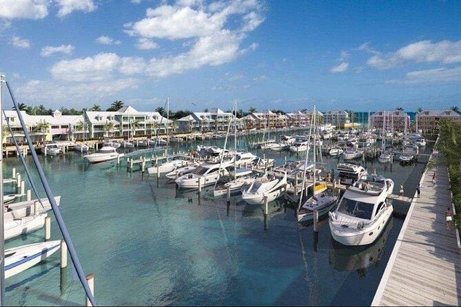Private Roundtrip Sedan Airport Transfer to Palm Cay - Good To Know