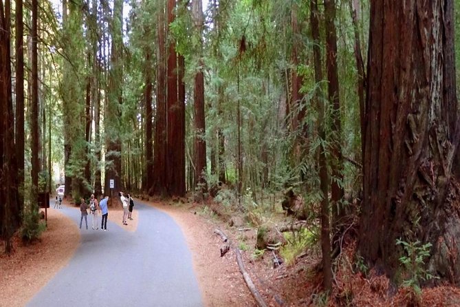 Private Russian River Day Trip From San Francisco: Redwoods and Wine Country