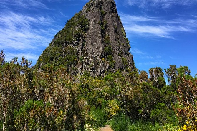 Private Service VIP Path to the Pinaculo – Folhadal Walk