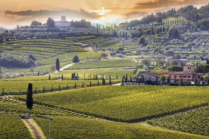 Private Siena & Tuscany Wine Tour From Rome - Good To Know