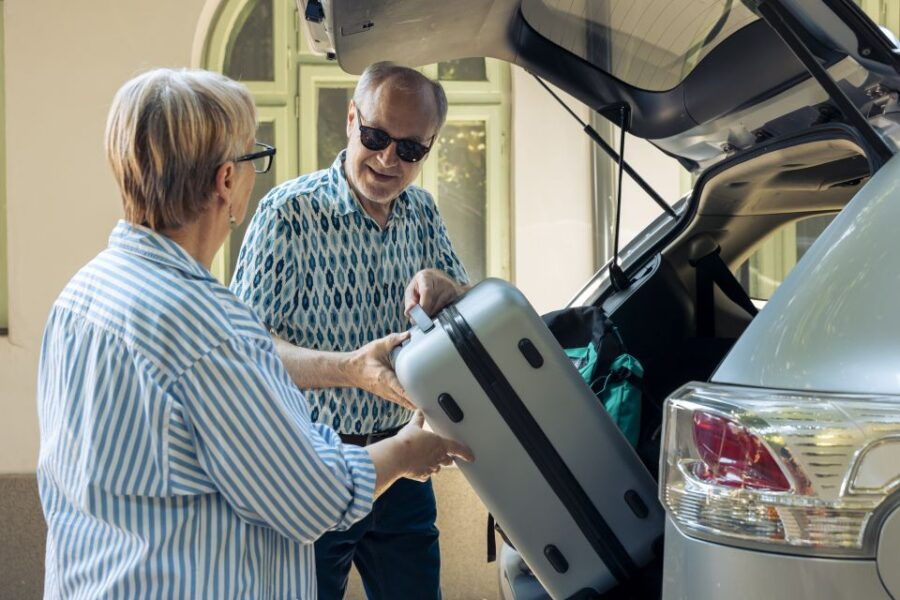 Private Sightseeing Transfer Prague - Vienna - Good To Know
