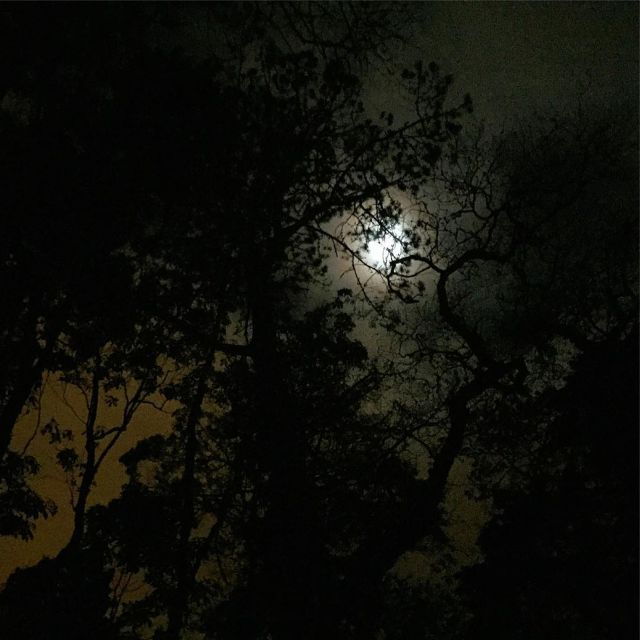Private Sintra Night Walk: Stories From the Mountains