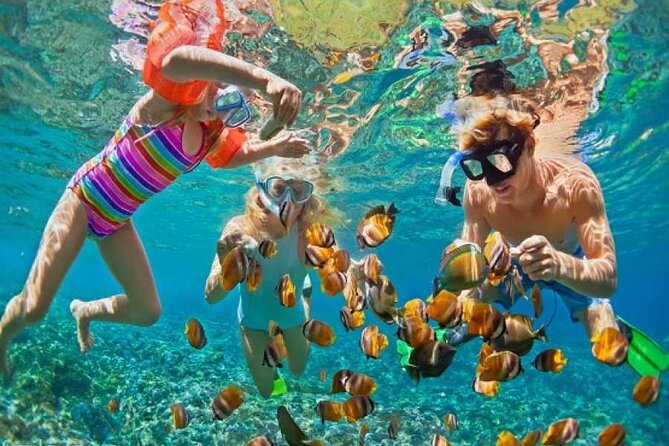 Private Snorkeling Day Trip With Paradise Island or Orange Bay - Good To Know