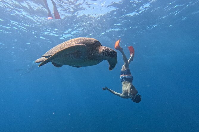 Private Snorkeling Experience in Gili Trawangan