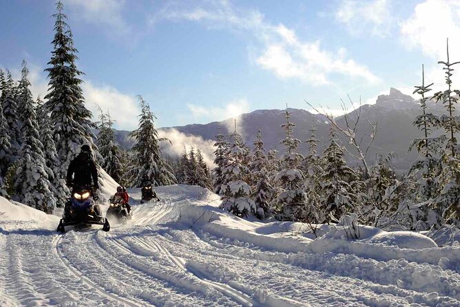 Private Snowmobile Tour in Whistler
