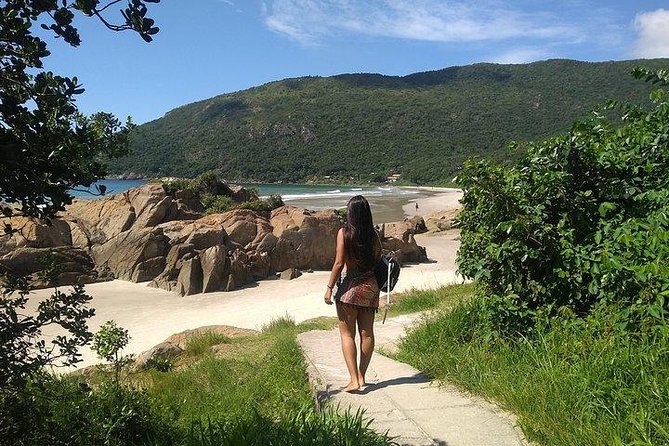 Private South Island Beaches and Lagoons Tour - Tour Overview