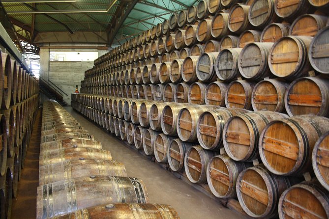 Private Special Tour Around Lisbon and Wine Tasting - Good To Know