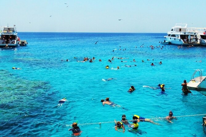 Private Speed Boat to Magawish Island in Hurghada - Good To Know