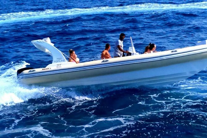 Private Speedboat Trip To Dolphin House In Hurghada - Good To Know