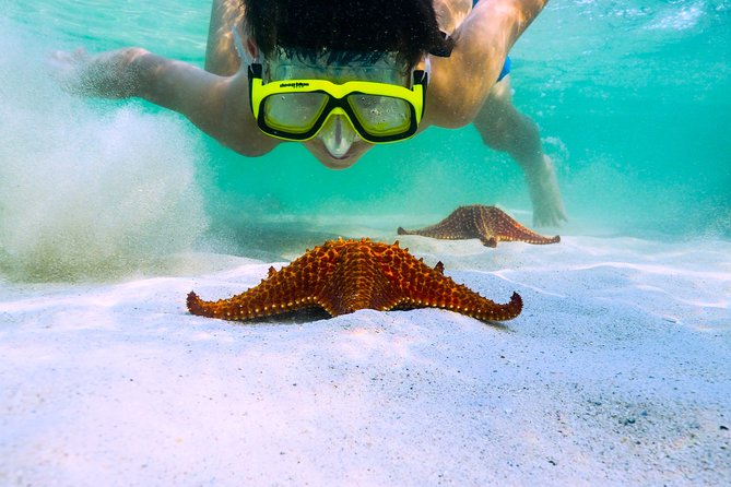 Private Stingray City Snorkeling and BioBay Charter for 10 Guests
